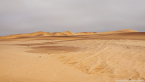 2025_4stars_namibia_245