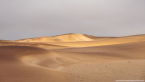 2025_4stars_namibia_248