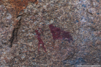 2025_4stars_namibia_298