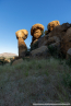 2025_4stars_namibia_300