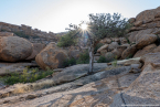 2025_4stars_namibia_302