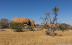 2025_4stars_namibia_311