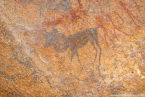 2025_4stars_namibia_312