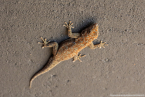 2025_4stars_namibia_319