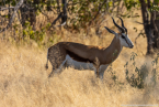 2025_4stars_namibia_354