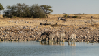 2025_4stars_namibia_356