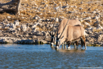 2025_4stars_namibia_357