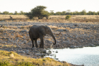 2025_4stars_namibia_358