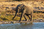 2025_4stars_namibia_360