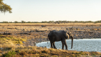 2025_4stars_namibia_363