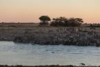 2025_4stars_namibia_367