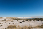 2025_4stars_namibia_384