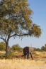 2025_4stars_namibia_442