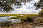 2025_4stars_namibia_531