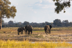 2025_4stars_namibia_534