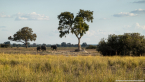 2025_4stars_namibia_535