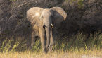 2025_4stars_namibia_537