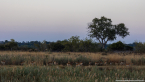 2025_4stars_namibia_565