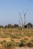 2025_4stars_namibia_581