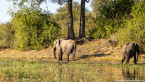 2025_4stars_namibia_598