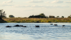 2025_4stars_namibia_611