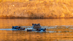 2025_4stars_namibia_619