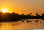 2025_4stars_namibia_621