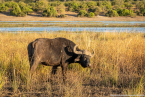 2025_4stars_namibia_653