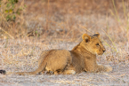 2025_4stars_namibia_666