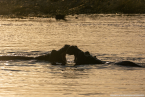 2025_4stars_namibia_669