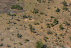 2025_4stars_namibia_713