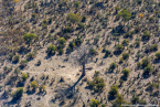 2025_4stars_namibia_721