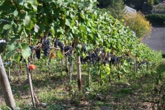 830119417_1129204904