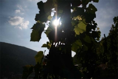 830119417_1129280085