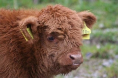 542142178_1129284835