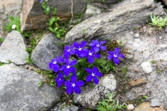 IMG_8058-01