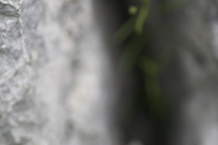 gesaeuse2007_IMG_9977-01