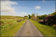 irland08_IMG_1136