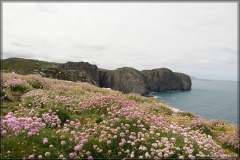 irland08_IMG_1546
