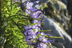 032a