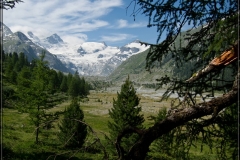 bernina_2010_084