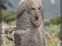 Urlaub und Reisen