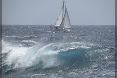 20100601-IMG_3672