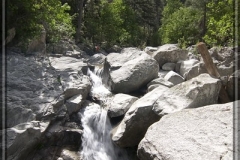 20100602-IMG_7999