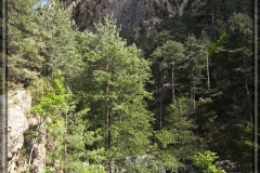 20100602-IMG_8005