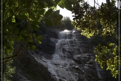20100609-IMG_8637