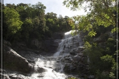20100609-IMG_8686