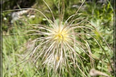 hpuster_htauern_41