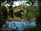 lioba_img_1576