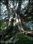 lioba_img_1710